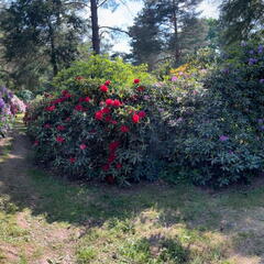 23-06-03 16-48-51 5800